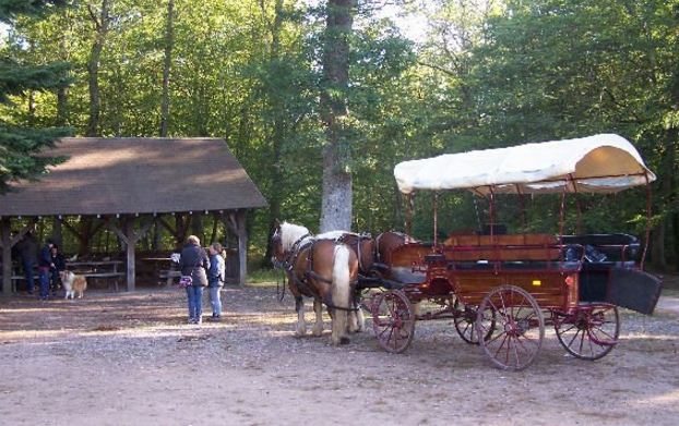 Location de calèche, nature, promenade